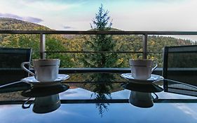 Apartament Rodia